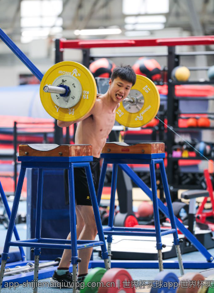 世界杯买球app,世界杯买球app的安全验证技术